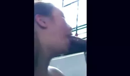 Pantis porno porno swinger argentinos