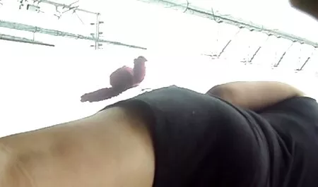 Mujeres maduras masturbándose en la webcam, videos porno swinger amateur